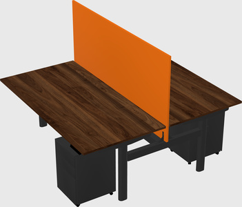 Shared electric desk
