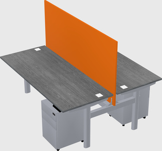 Shared electric desk