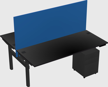 Shared electric desk