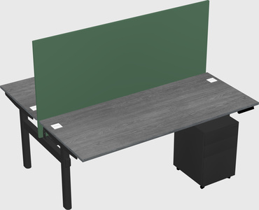 Shared electric desk