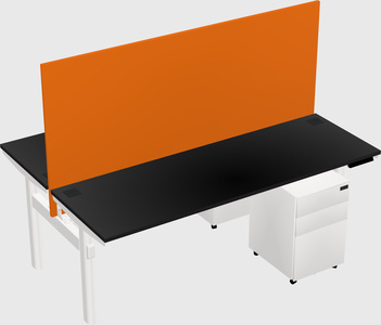 Shared electric desk