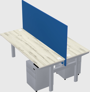 Shared electric desk