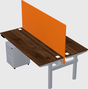 Shared electric desk