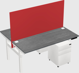 Shared electric desk