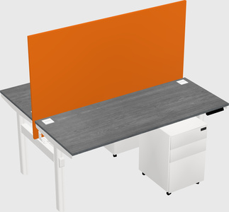 Shared electric desk
