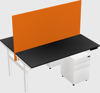 Shared electric desk