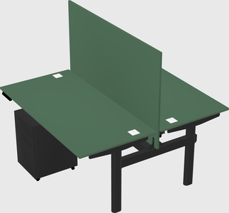 Shared electric desk