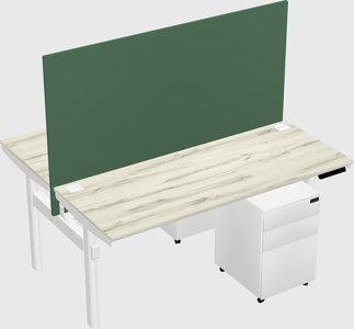 Shared electric desk