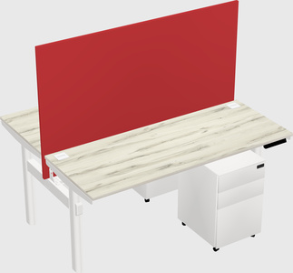 Shared electric desk