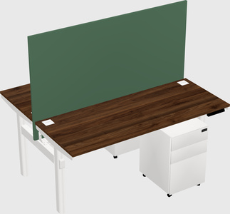 Shared electric desk