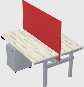 Shared electric desk