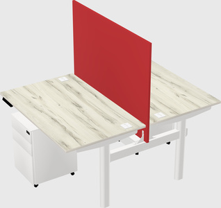 Shared electric desk