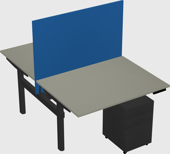Shared electric desk