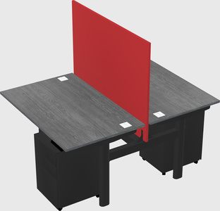 Shared electric desk