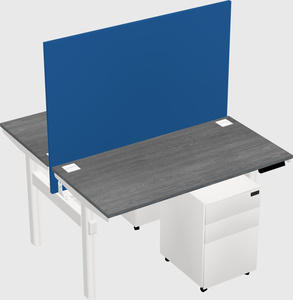 Shared electric desk