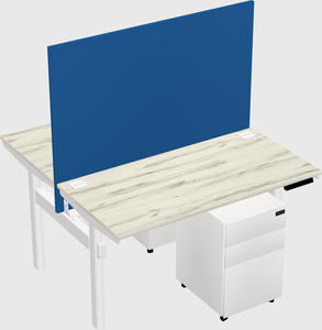 Shared electric desk
