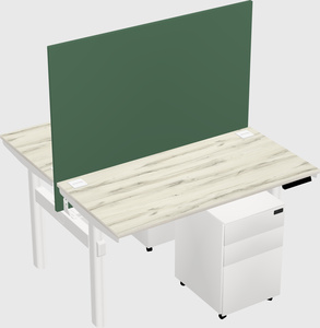 Shared electric desk