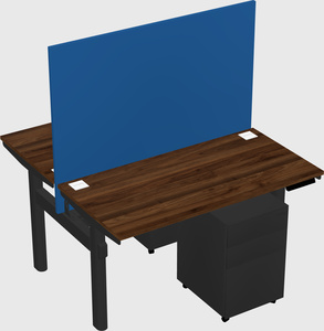 Shared electric desk