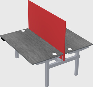 Shared electric desk