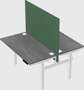 Shared electric desk