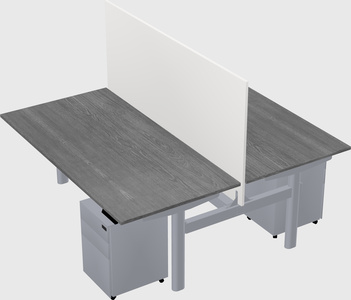 Shared electric desk