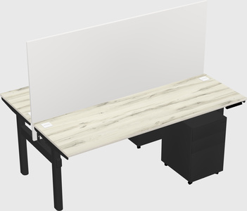 Shared electric desk