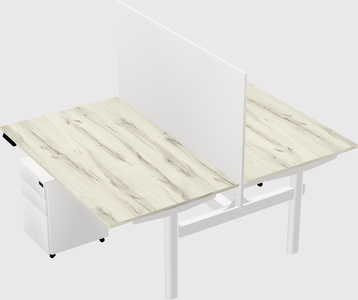 Shared electric desk