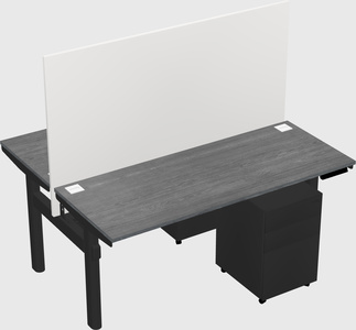 Shared electric desk