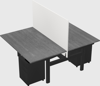 Shared electric desk