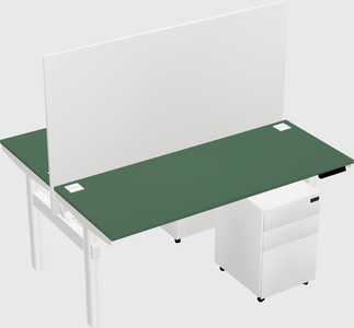 Shared electric desk