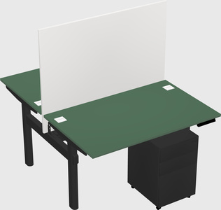 Shared electric desk