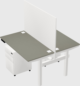 Shared electric desk