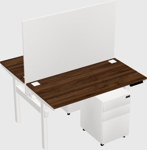 Shared electric desk