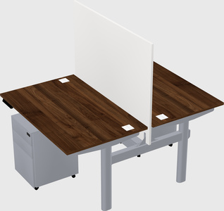 Shared electric desk