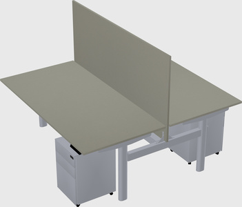 Shared electric desk