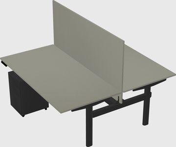 Shared electric desk