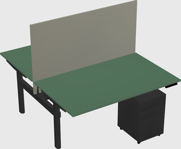 Shared electric desk