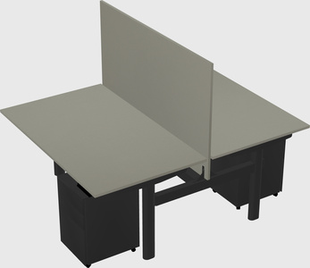 Shared electric desk