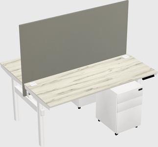 Shared electric desk
