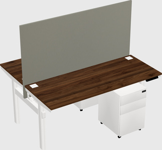 Shared electric desk