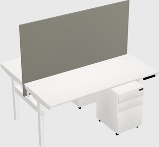 Shared electric desk