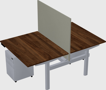 Shared electric desk