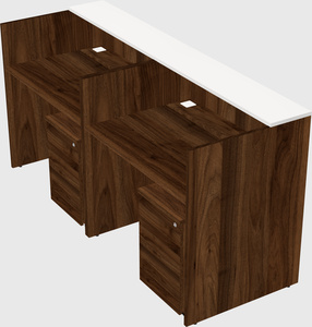 Shared u-shaped reception desks