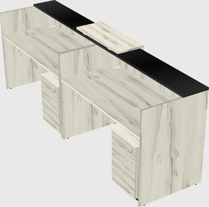 Shared u-shaped reception desks