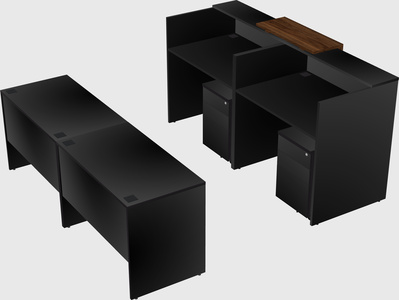 Shared u-shaped reception desks