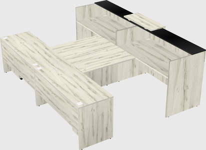 Shared u-shaped reception desks