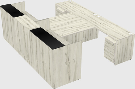 Shared u-shaped reception desks