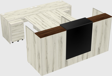 Shared u-shaped reception desks