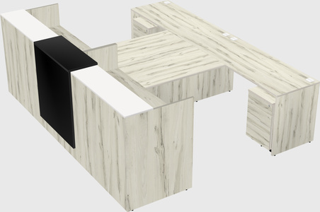 Shared u-shaped reception desks
