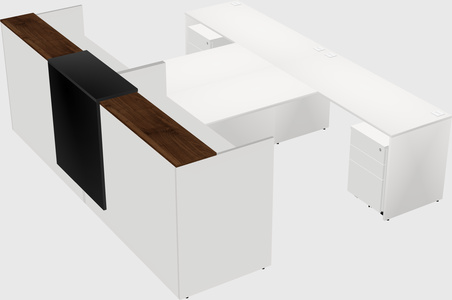 Shared u-shaped reception desks